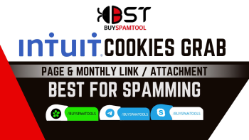 Intuit_Cookies_Grab_Page-Link_First_Frame